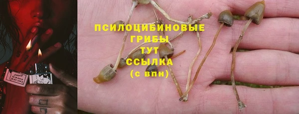 сатива Баксан