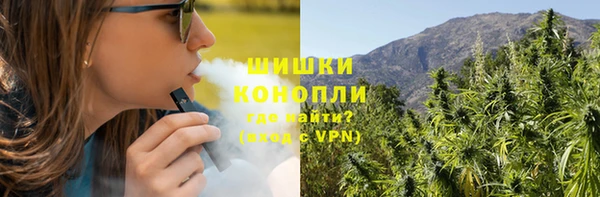 сатива Баксан
