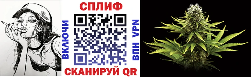 Бошки Шишки индика  Шагонар 
